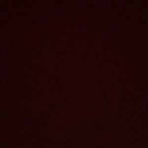 Meet your Posher, Bailey